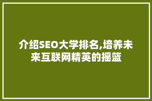 介绍SEO大学排名,培养未来互联网精英的摇篮