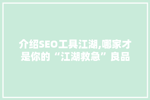 介绍SEO工具江湖,哪家才是你的“江湖救急”良品