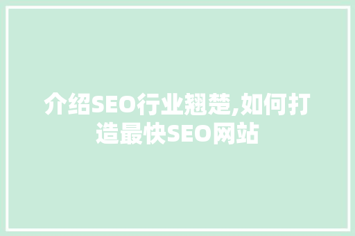 介绍SEO行业翘楚,如何打造最快SEO网站