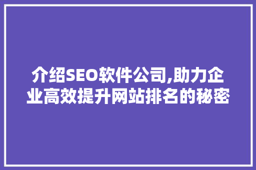 介绍SEO软件公司,助力企业高效提升网站排名的秘密武器
