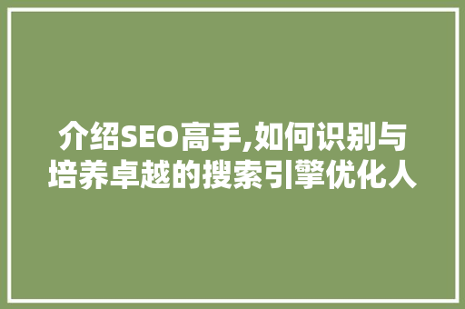 介绍SEO高手,如何识别与培养卓越的搜索引擎优化人才