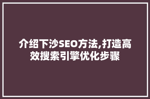 介绍下沙SEO方法,打造高效搜索引擎优化步骤