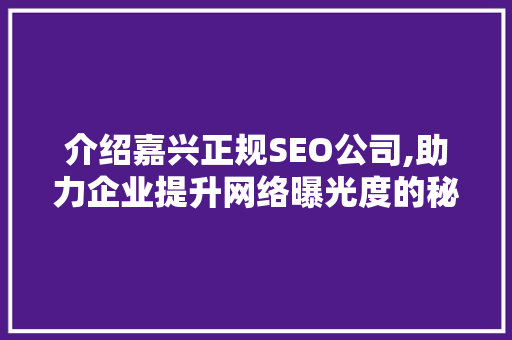 介绍嘉兴正规SEO公司,助力企业提升网络曝光度的秘密武器