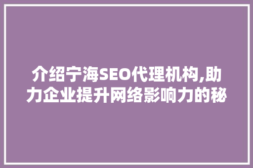 介绍宁海SEO代理机构,助力企业提升网络影响力的秘密武器