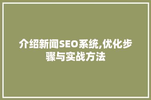 介绍新闻SEO系统,优化步骤与实战方法