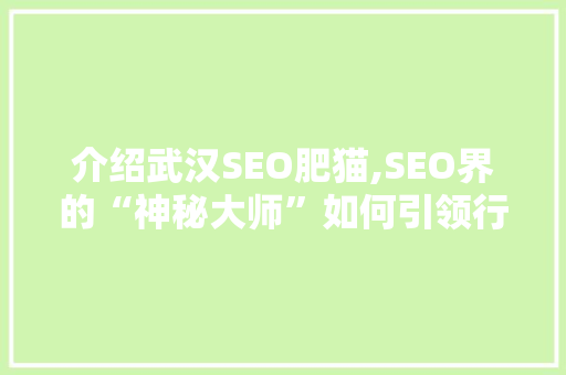 介绍武汉SEO肥猫,SEO界的“神秘大师”如何引领行业潮流