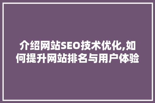 介绍网站SEO技术优化,如何提升网站排名与用户体验