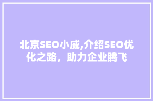 北京SEO小威,介绍SEO优化之路，助力企业腾飞