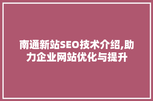 南通新站SEO技术介绍,助力企业网站优化与提升