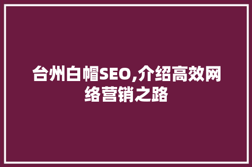 台州白帽SEO,介绍高效网络营销之路