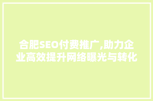 合肥SEO付费推广,助力企业高效提升网络曝光与转化率