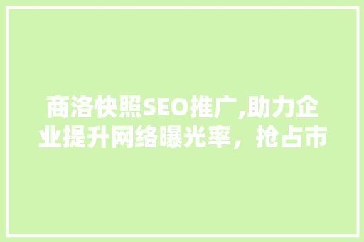 商洛快照SEO推广,助力企业提升网络曝光率，抢占市场先机