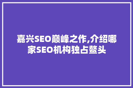 嘉兴SEO巅峰之作,介绍哪家SEO机构独占鳌头