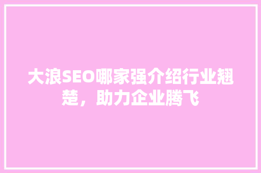 大浪SEO哪家强介绍行业翘楚，助力企业腾飞