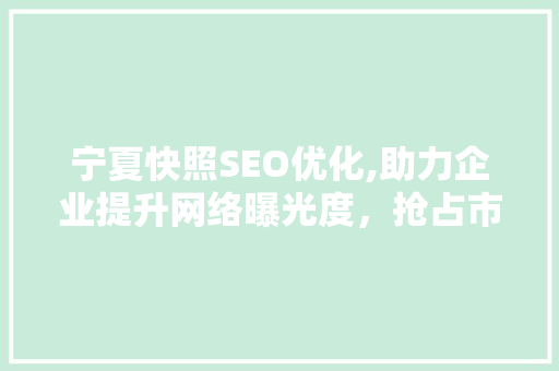 宁夏快照SEO优化,助力企业提升网络曝光度，抢占市场先机