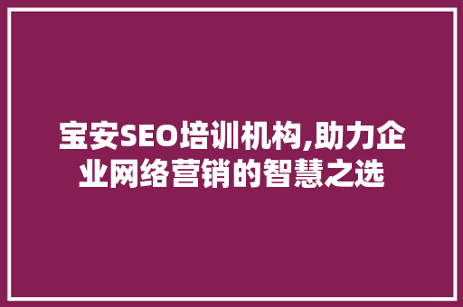 宝安SEO培训机构,助力企业网络营销的智慧之选