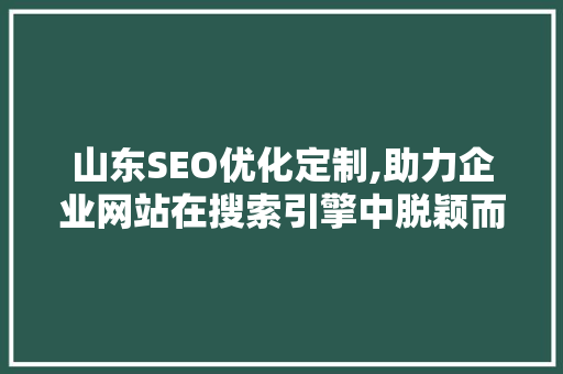 山东SEO优化定制,助力企业网站在搜索引擎中脱颖而出