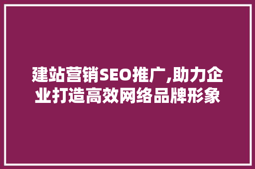 建站营销SEO推广,助力企业打造高效网络品牌形象