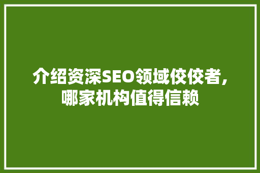 介绍资深SEO领域佼佼者,哪家机构值得信赖