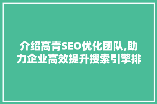 介绍高青SEO优化团队,助力企业高效提升搜索引擎排名的秘密武器