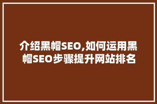 介绍黑帽SEO,如何运用黑帽SEO步骤提升网站排名  第1张