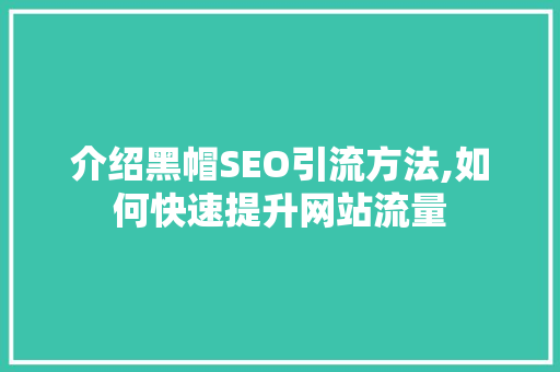 介绍黑帽SEO引流方法,如何快速提升网站流量