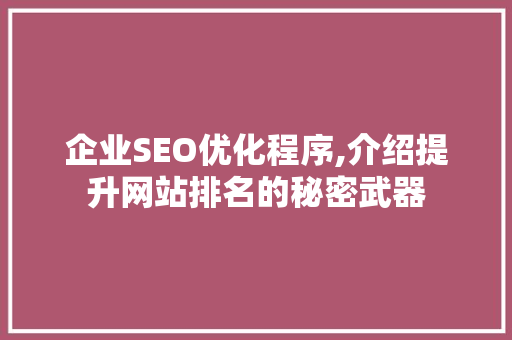 企业SEO优化程序,介绍提升网站排名的秘密武器