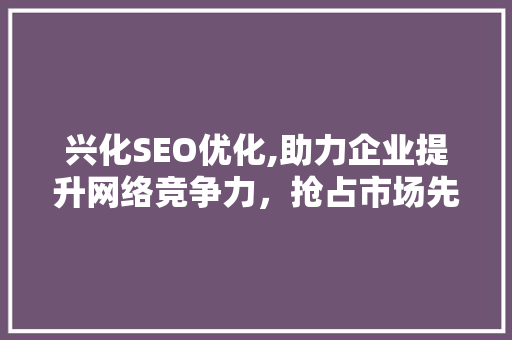 兴化SEO优化,助力企业提升网络竞争力，抢占市场先机