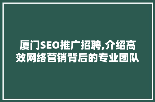 厦门SEO推广招聘,介绍高效网络营销背后的专业团队