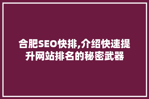 合肥SEO快排,介绍快速提升网站排名的秘密武器  第1张