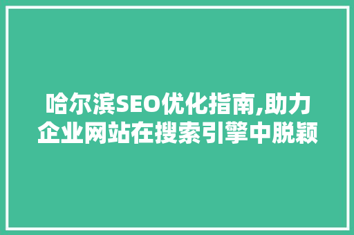 哈尔滨SEO优化指南,助力企业网站在搜索引擎中脱颖而出