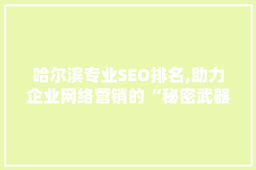 哈尔滨专业SEO排名,助力企业网络营销的“秘密武器”