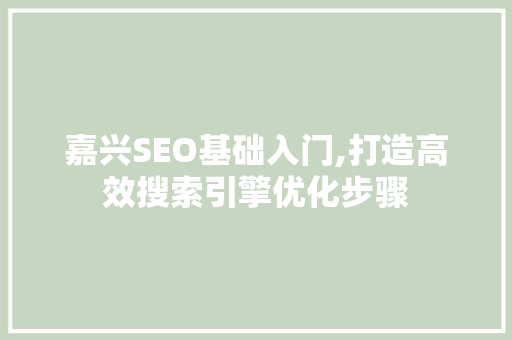 嘉兴SEO基础入门,打造高效搜索引擎优化步骤