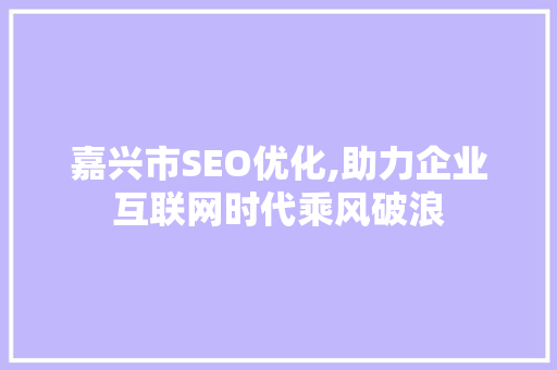 嘉兴市SEO优化,助力企业互联网时代乘风破浪