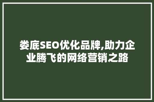 娄底SEO优化品牌,助力企业腾飞的网络营销之路