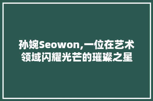 孙婉Seowon,一位在艺术领域闪耀光芒的璀璨之星