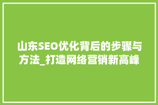 山东SEO优化背后的步骤与方法_打造网络营销新高峰