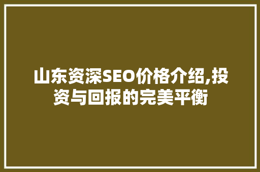 山东资深SEO价格介绍,投资与回报的完美平衡