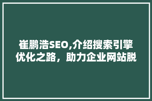 崔鹏浩SEO,介绍搜索引擎优化之路，助力企业网站脱颖而出