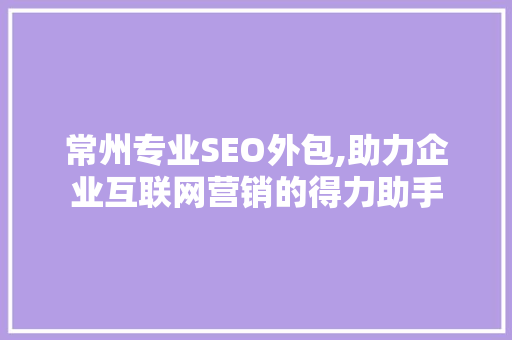 常州专业SEO外包,助力企业互联网营销的得力助手