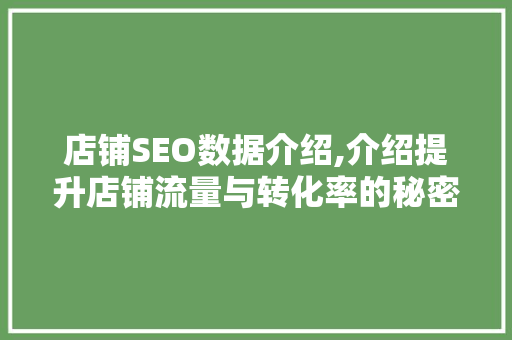 店铺SEO数据介绍,介绍提升店铺流量与转化率的秘密武器