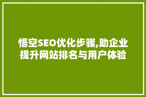 悟空SEO优化步骤,助企业提升网站排名与用户体验