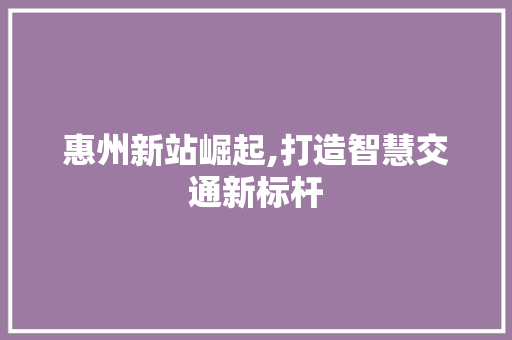 惠州新站崛起,打造智慧交通新标杆