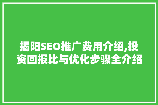 揭阳SEO推广费用介绍,投资回报比与优化步骤全介绍