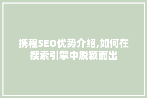携程SEO优势介绍,如何在搜索引擎中脱颖而出