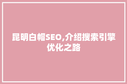昆明白帽SEO,介绍搜索引擎优化之路