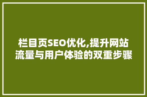 栏目页SEO优化,提升网站流量与用户体验的双重步骤