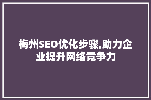 梅州SEO优化步骤,助力企业提升网络竞争力