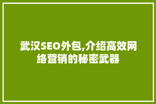 武汉SEO外包,介绍高效网络营销的秘密武器