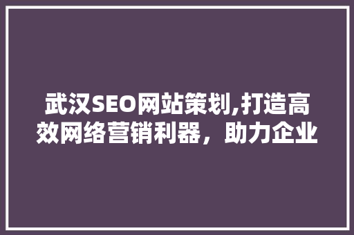 武汉SEO网站策划,打造高效网络营销利器，助力企业腾飞